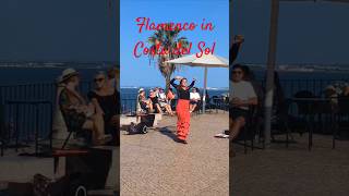 Flamenco in Costa del Sol travel shorts costadelsol [upl. by Shuman]