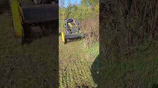 ROBOCUT WILDFLOWER MEADOW rcmower flailmower landscaping [upl. by Erma256]