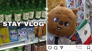 °STAY VLOG° Compras bonitas coreanas y de kpop [upl. by Aztinaj]