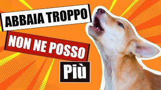 Come far smettere il cane che abbaia [upl. by Nella]