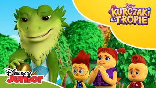 🦎 Agama na wycieczce  Kurczaki na tropie  Disney Junior Polska [upl. by Ketti]