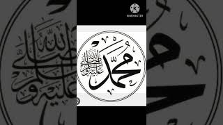 Sarkaar ki aamad marhaba viralshort muhammad islamicstatus islam [upl. by Valentina538]