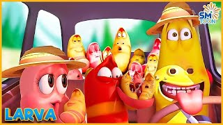 LARVA SEASON 3 COMPILATION DRIVER  FUNNIEST CARTOON  COMEDY VIDEO 2024 [upl. by Akema]