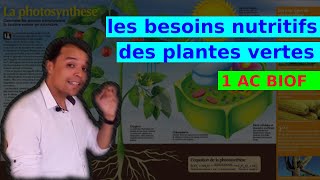 Les besoins nutritifs des plantes vertes 1AC BIOF [upl. by Edithe134]