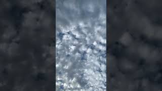 🕊️🥰 sky skymusic skyclouds arabic arabicmusic viralshort shorts [upl. by Kory]