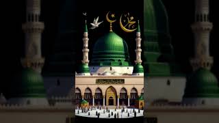 Islami video 💚🫶👍 [upl. by Ahsiekit]