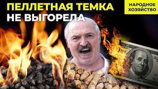 Пеллетные заводы стоят Лукашенко оседлал антикоррупционного коня [upl. by Oric]