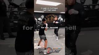 How to cut off the ring 📝🥊 shorts boxing boxingtraining boxer canelo [upl. by Trilbee577]