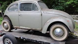 1958 Vw Beetle pulled from garage  Vintage 58 Volkswagen Bug Found [upl. by Nwahsak]