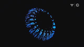 Bioluminescence in the deep sea How and why do animals create their own light [upl. by Zeculon]