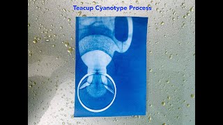 Teacup Cyanotype Process [upl. by Lamond]