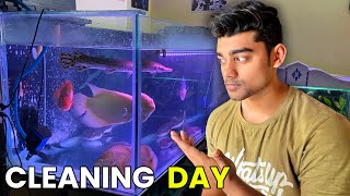 Cleaning my 5ft Monster Aquarium‼️ 😱  Biggest Monster Fish Tank in Vizag [upl. by Yssis]