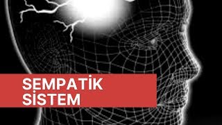 SEMPATİK SİSTEM OTONOM SİNİR SİSTEMİSERDAR AKGÜN [upl. by Nee]