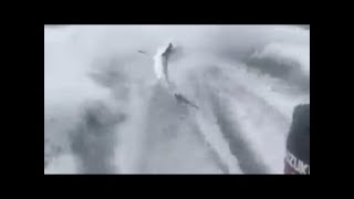 Shark being dragged behind a boat at the Florida coast [upl. by Nyved]