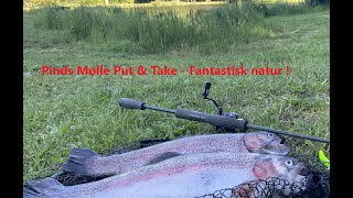 Pinds Mølle Put amp Take  Fantastisk lille naturperle Put and Take fishing [upl. by Nugent]