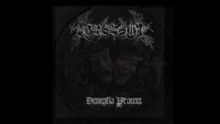 Acrosome  Dementia Praecox Full Album 2011 High Quality [upl. by Ahael]