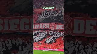 Bayern München Fans mit Choreo im Spiel gegen den VfB Stuttgart 🔥 [upl. by Thirza]