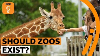 Should zoos exist  BBC Ideas [upl. by Eitsym58]