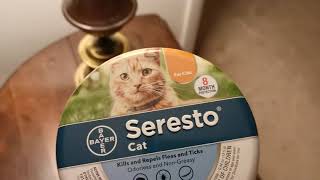 Seresto cat flea collar is a lifesaver [upl. by Alberik971]