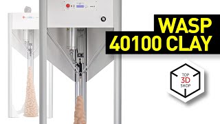 WASP 40100 Clay Overview BigVolume Ceramic 3D Printer [upl. by Lukey]