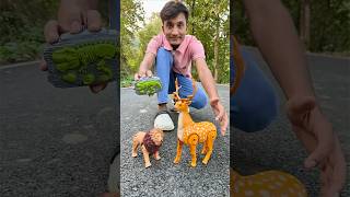 Two Remote Control Lion 🐅 and Deer unboxing 🦌 [upl. by Ecnedurp]