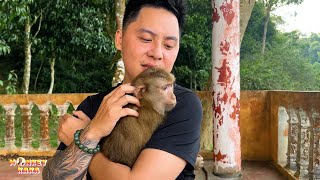 Unexpected happiness Dad met Monkey Kaka after many days of hardship [upl. by Babette422]