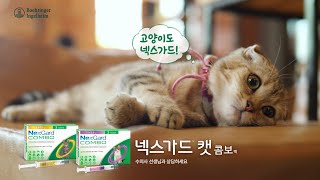 넥스가드 스펙트라 23년도 TVCF 30초 Cat combo ver [upl. by Lodnar688]