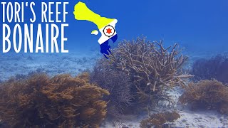 Diving Toris Reef on Bonaire Caribbean Netherlands HD [upl. by Eileek]