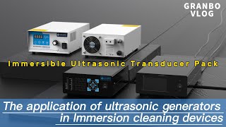 How Does The Ultrasonic Generator Work With Immersion Transducer Box [upl. by Ainesey164]