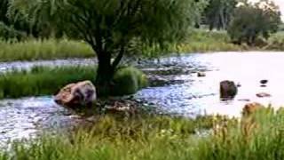 Rapid Creek in Rapid City by Canyon Lake [upl. by Boggers243]