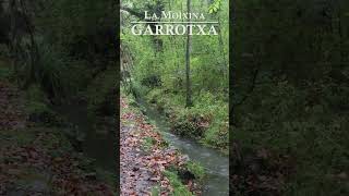 Font de la Moixina garrotxa senderismo bosque [upl. by Henryson394]