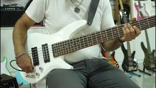 Glarry GIB Bass Guitar Full Size 6 String HH Pickup [upl. by Niret]