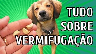 VERMIFUGAÇÃO DE CÃES FILHOTES E ADULTOS  REMÉDIO DE VERME [upl. by Suzie]