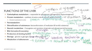 Cirrhosis of the Liver Part 1 [upl. by Sachsse]