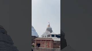 Jagannath Puri mandir🛕 Jagannath Dham shorts jagannath jagannathtemple puri temple ytshort [upl. by Quackenbush]