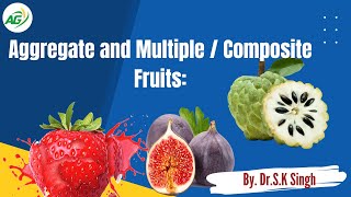 Aggregate and Multiple  Composite Fruits [upl. by Wandie373]