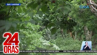 Babaeng nawawala sa Metro Manila natagpuang patay at nakagapos sa Laguna  24 Oras [upl. by Leirda]