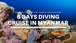 Explore the South of Mergui  6 days diving trip in Myanmar [upl. by Dodd573]