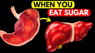 What Happens to Your Body When You Eat Sugar [upl. by Proulx]