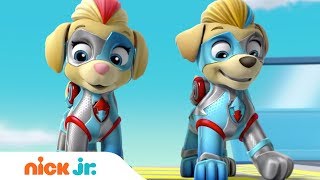 The Mighty Twins In Action 🐶🐶 PAW Patrol  Nick Jr [upl. by Also710]