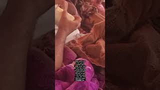 مهذري بلوط نقفه  قمطه  فراق  رازحي العنوان صعده المهاذر جوال 771433387 [upl. by Arinay]