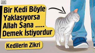 Arif Nazım  Sevmedim Ülküden Başkasını [upl. by Jeannette92]