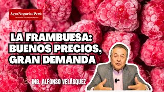 Análisis del mercado internacional de la frambuesa  Alfonso Velásquez [upl. by Naynek]