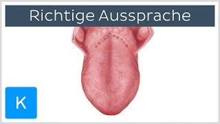 Anatomische Begriffe richtig aussprechen 4 Tipps  Anatomie des Menschen  Kenhub [upl. by Nycila]