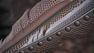 Biomimicry Verf GMG2 [upl. by Beverle]