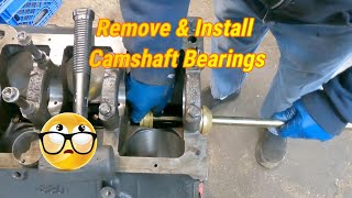 Remove amp Install Cam Bearings on a SBC 🤔 [upl. by Delano]