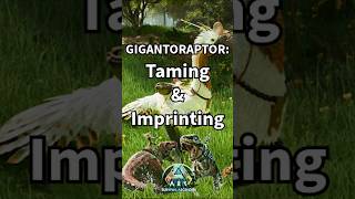 Interesting Gigantoraptor Guide Imprinting and Taming Affinity  ARK Survival Ascended [upl. by Llekim]