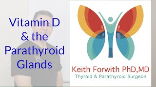 Vitamin D and the Parathyroid Glands [upl. by Eniamraj]