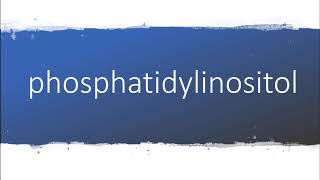 How to pronounce phosphatidylinositol [upl. by Ribaudo]