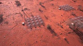 Aerial view of the Murchison Widefield Array MWA low flyover on a sunny day [upl. by Ecirtal]